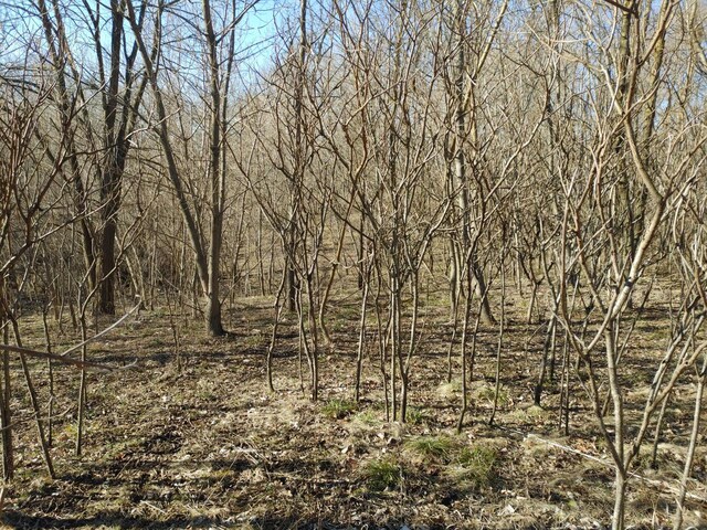 2020 E Lake Shore Dr, Twin Lakes, WI 53181
