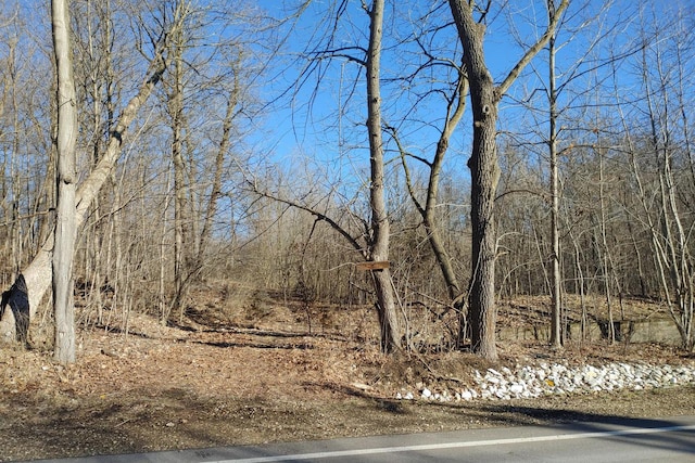 2020 E Lake Shore Dr, Twin Lakes, WI 53181