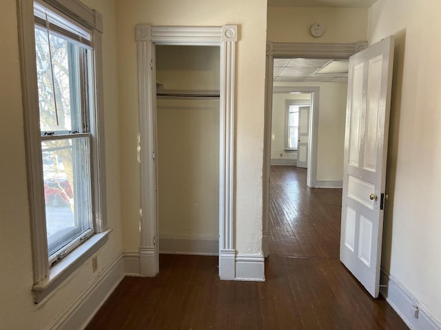 interior space with a closet, dark hardwood / wood-style floors, and multiple windows