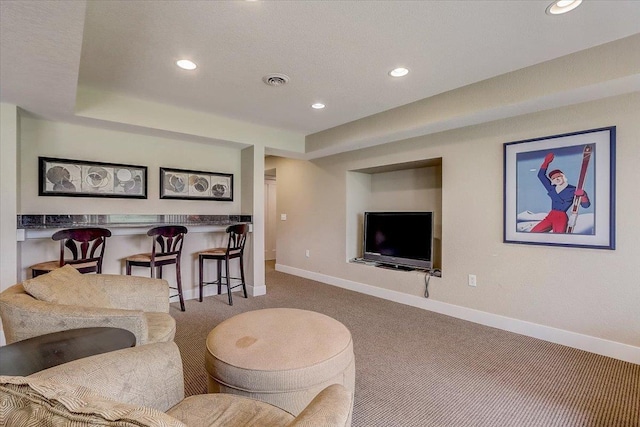 carpeted living room with a raised ceiling