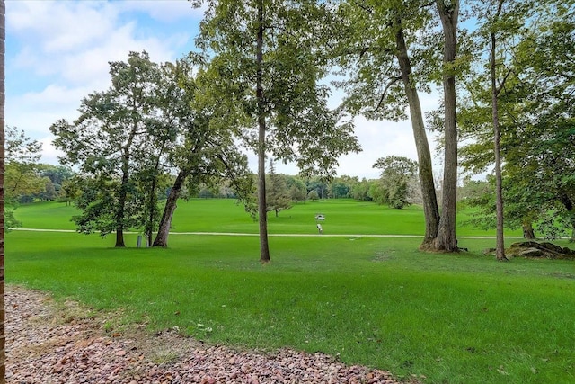 view of property's community with a yard