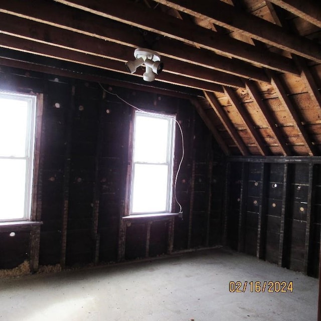 attic with a healthy amount of sunlight