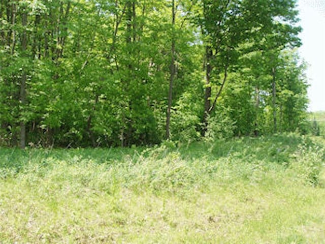 LOT12ON Margaret Ln, Park Falls WI, 54552 land for sale