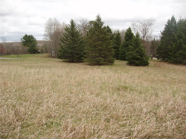 Listing photo 2 for LOT3ON River Rd N, Park Falls WI 54552