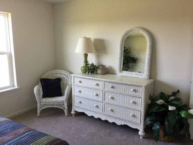 living area with carpet