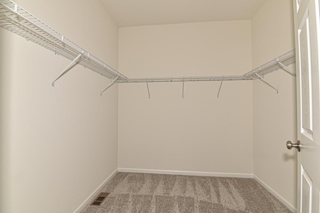 walk in closet featuring carpet