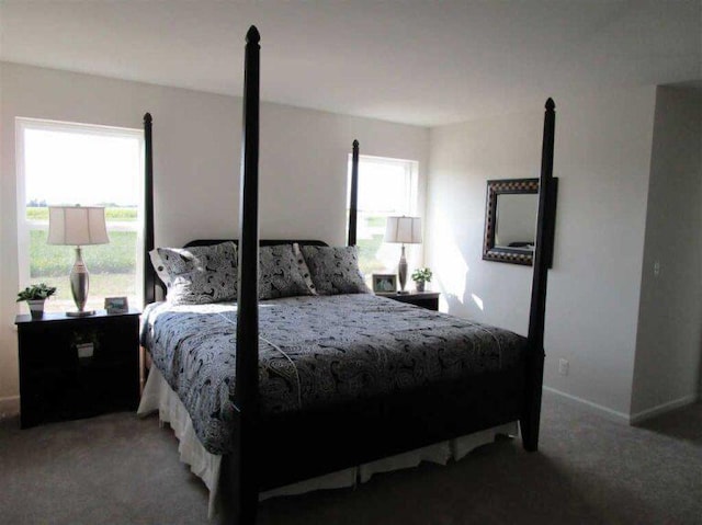 carpeted bedroom featuring multiple windows