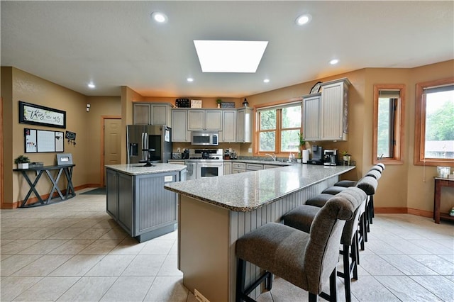 kitchen featuring a skylight, gray cabinetry, a wealth of natural light, and stainless steel appliances