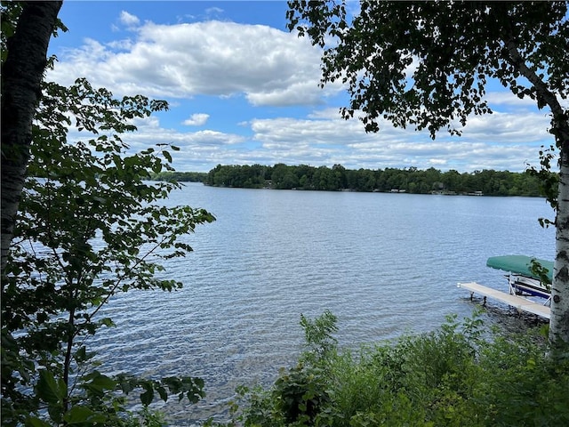 property view of water featuring a dock