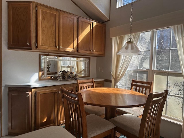 dining room featuring a healthy amount of sunlight