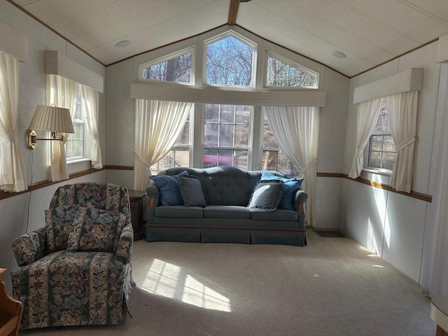 carpeted living room with vaulted ceiling