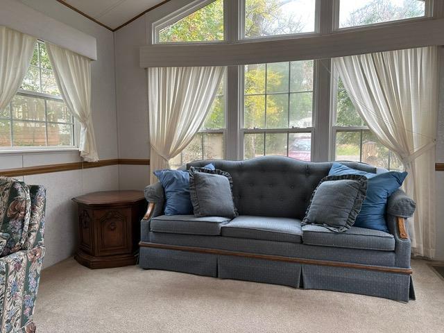 carpeted living room with vaulted ceiling and a healthy amount of sunlight