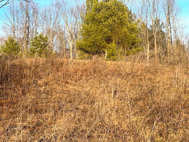 Thorn Apple Dr, Wittenberg WI, 54499 land for sale