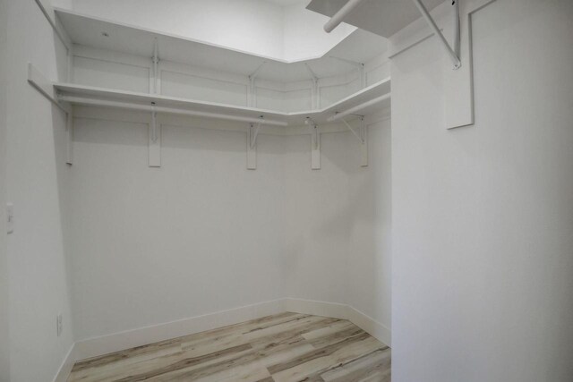 walk in closet featuring light hardwood / wood-style flooring