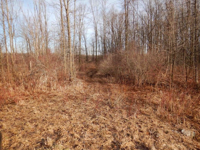 Bramschreiber Rd, Little Suamico WI, 54141 land for sale