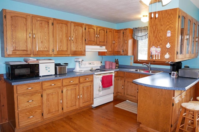 kitchen with white range with electric stovetop, sink, and dark hardwood / wood-style flooring