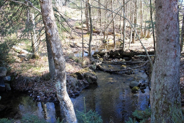 view of nature with a water view