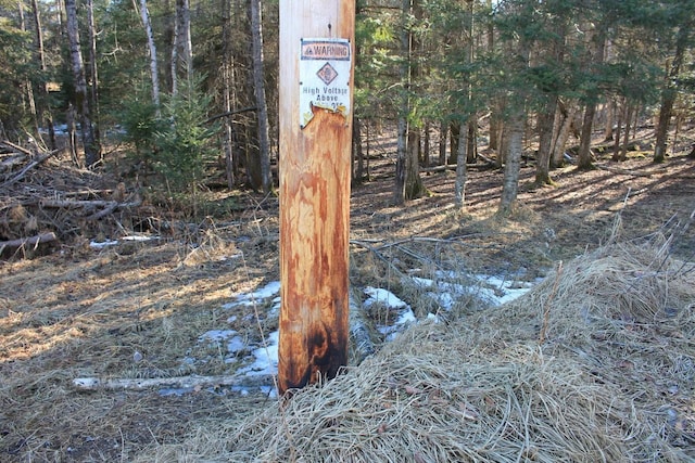 view of local wilderness