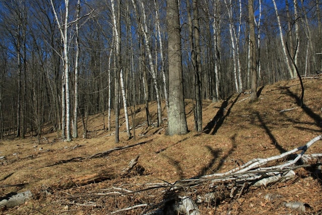 view of mother earth's splendor