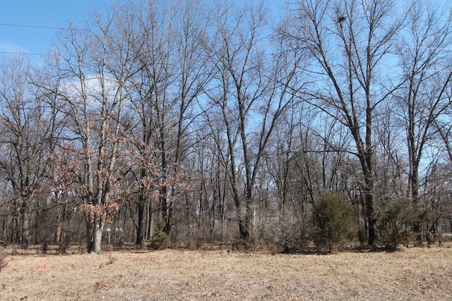 Listing photo 2 for LOT53 Tomahawk Trl, Montello WI 53949