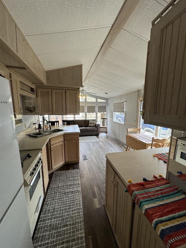 kitchen featuring ceiling fan, white appliances, dark wood-type flooring, lofted ceiling, and sink