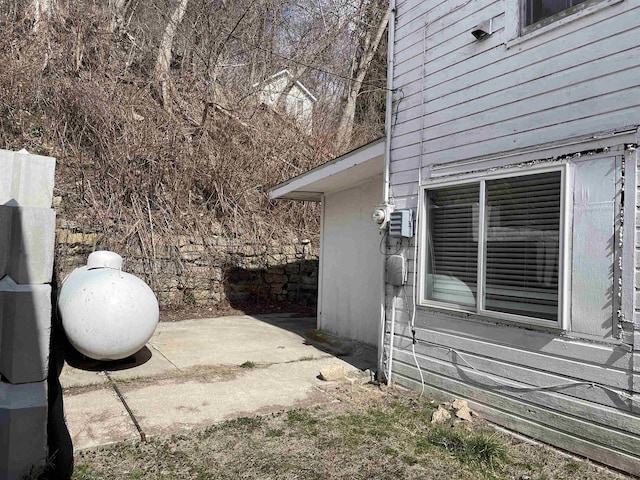 view of property exterior featuring a patio