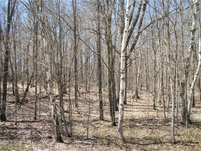 LOTS26 Loch Lomond Blvd, Birchwood WI, 54817 land for sale