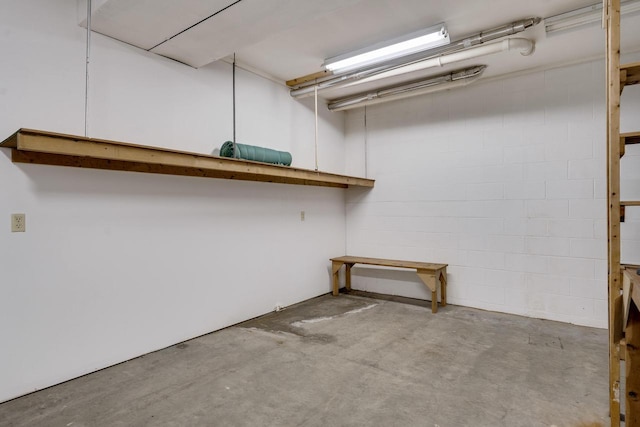 27751 Nutmeg Rd, Elroy, WI 53929 - below grade area featuring concrete block wall