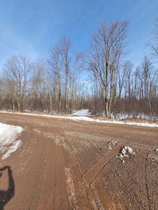 Listing photo 3 for LT1 Wood Creek Ave, Rib Lake WI 54470