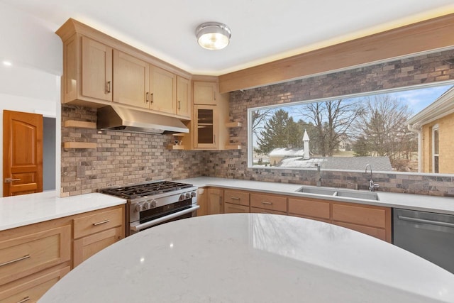 kitchen featuring backsplash, appliances with stainless steel finishes, sink, and light brown cabinetry