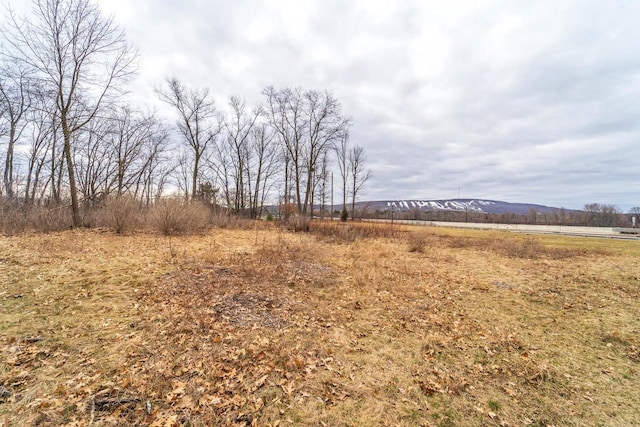 view of local wilderness