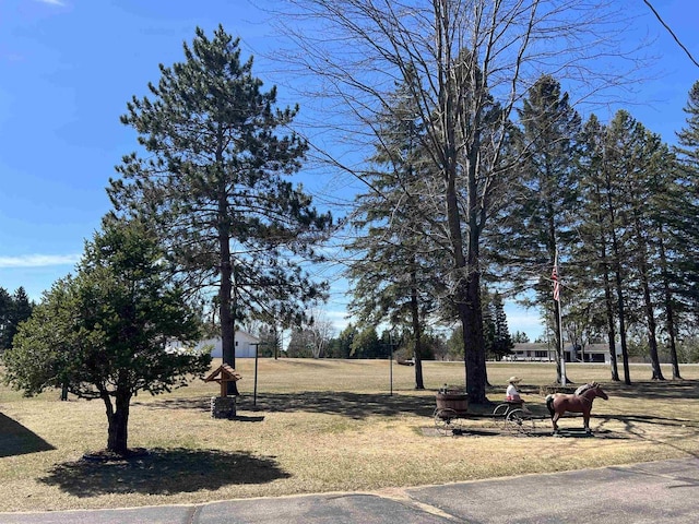 3367 County Road Y, Custer, WI 54423 - view of home's community