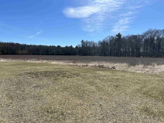 3367 County Road Y, Custer, WI 54423 - view of tree filled area