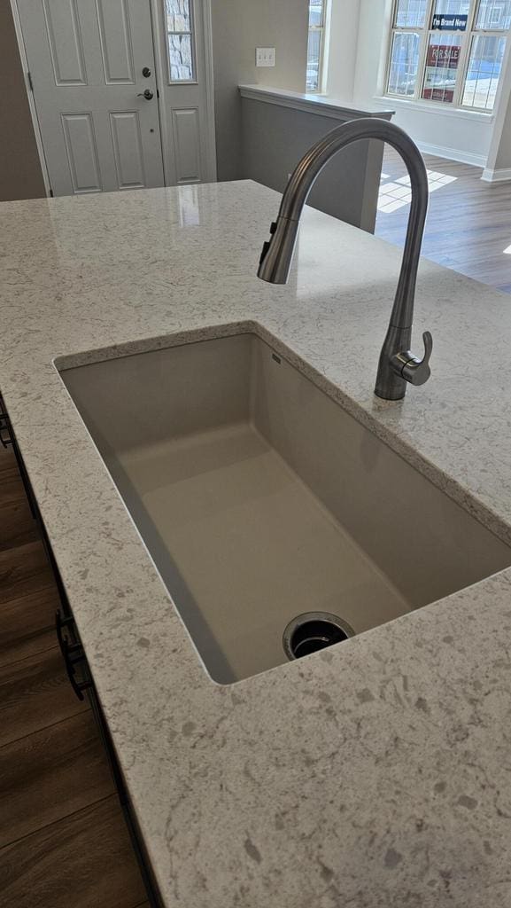 details featuring wood-type flooring and sink