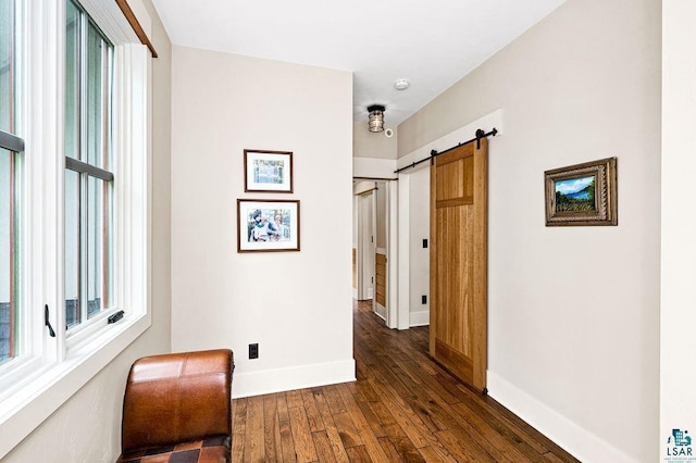 corridor with a barn door, a healthy amount of sunlight, and dark hardwood / wood-style floors