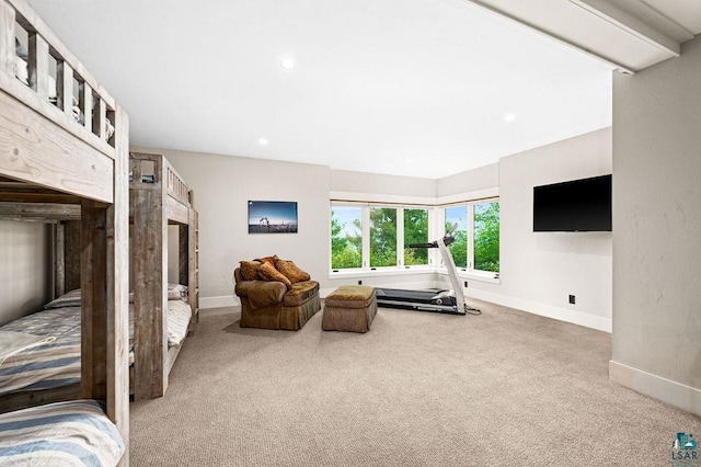 living room featuring carpet floors