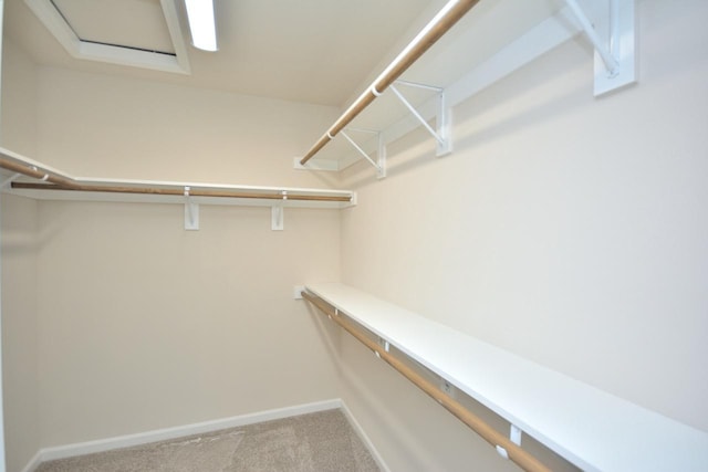 spacious closet with carpet floors