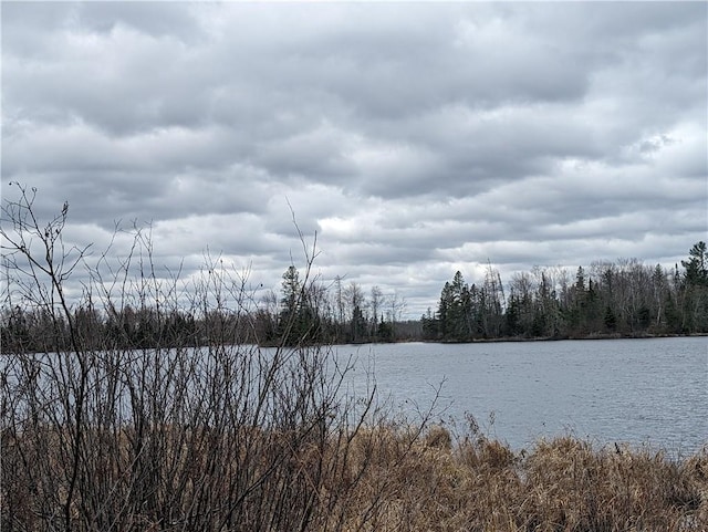 Listing photo 3 for 4741 Western Breeze, Ojibwa WI 54862