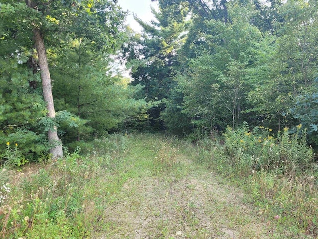 LOT1 County Road P, Wisconsin Dells WI, 53965 land for sale