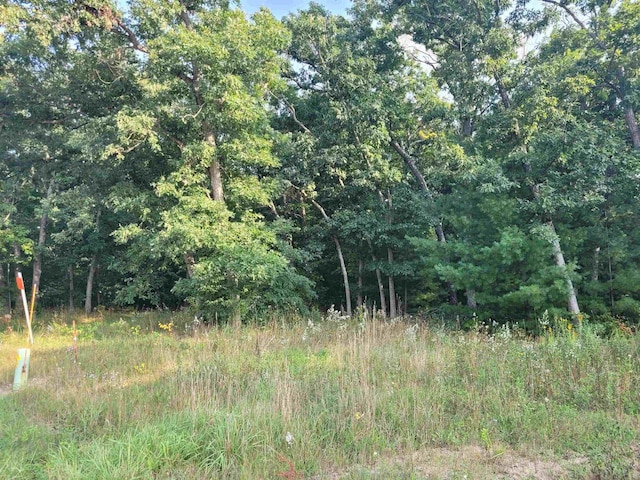 Listing photo 2 for LOT1 County Road P, Wisconsin Dells WI 53965