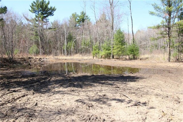 E17210 Scenic Dr, Fall Creek, WI 54742