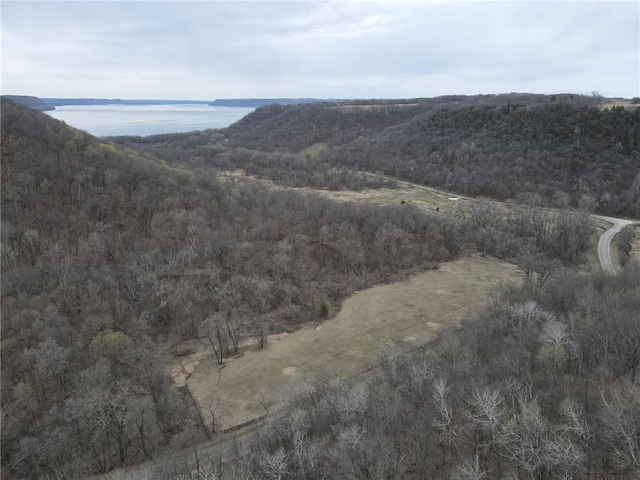 TBD County Road Aa, Maiden Rock WI, 54750 land for sale