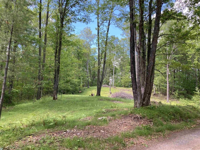 County Road B, Gleason WI, 54435 land for sale