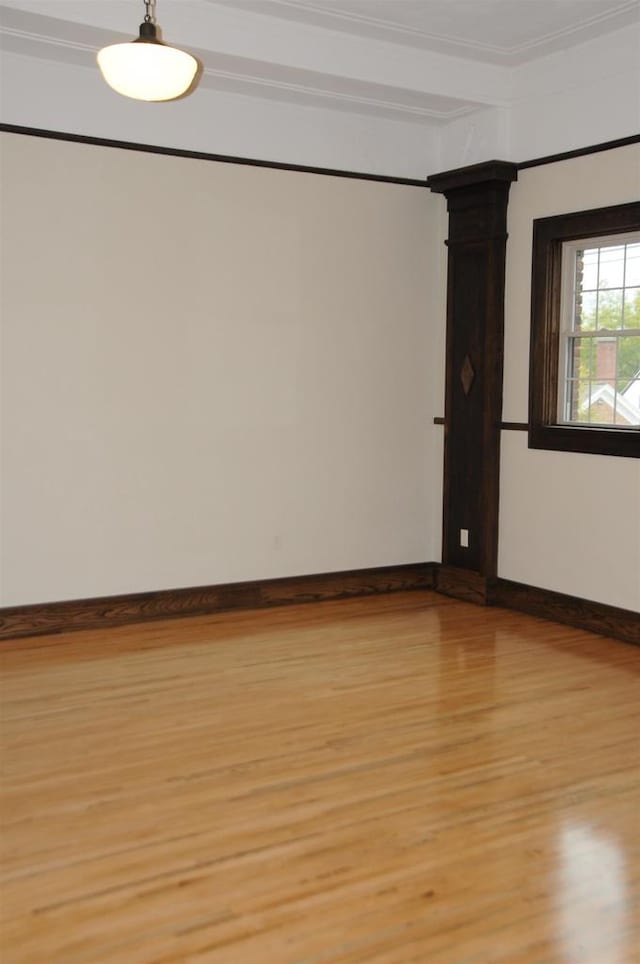 spare room with light hardwood / wood-style floors