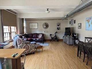 living room with light hardwood / wood-style floors