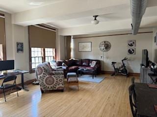 living room featuring light hardwood / wood-style floors