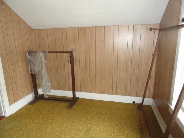 clothes washing area with carpet and wooden walls