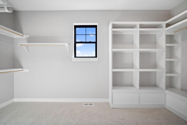 spacious closet featuring carpet floors