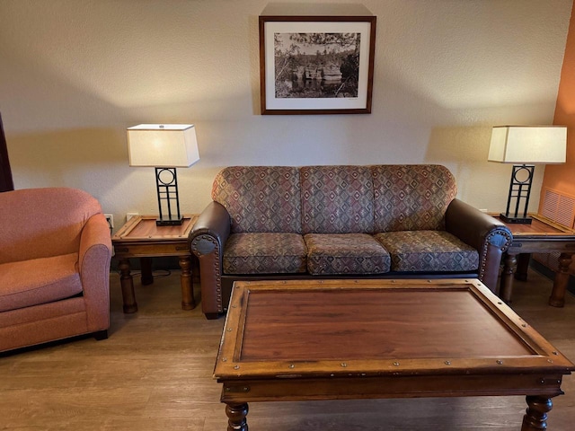 living room featuring wood-type flooring