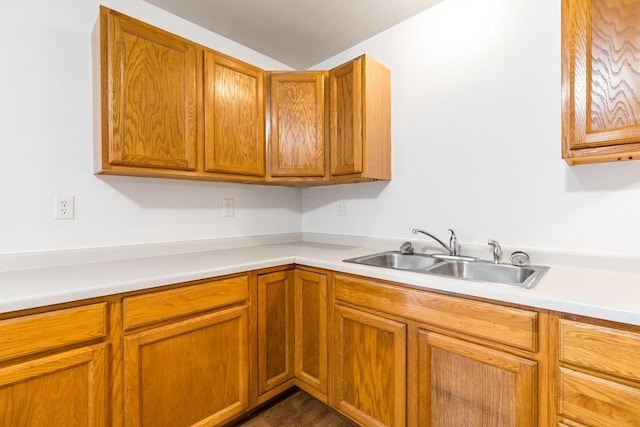 kitchen with dark hardwood / wood-style floors and sink